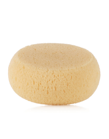 Absorbent sponge